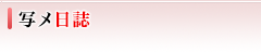 写メ日誌